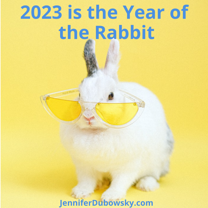 2023 Is The Year Of The Water Rabbit