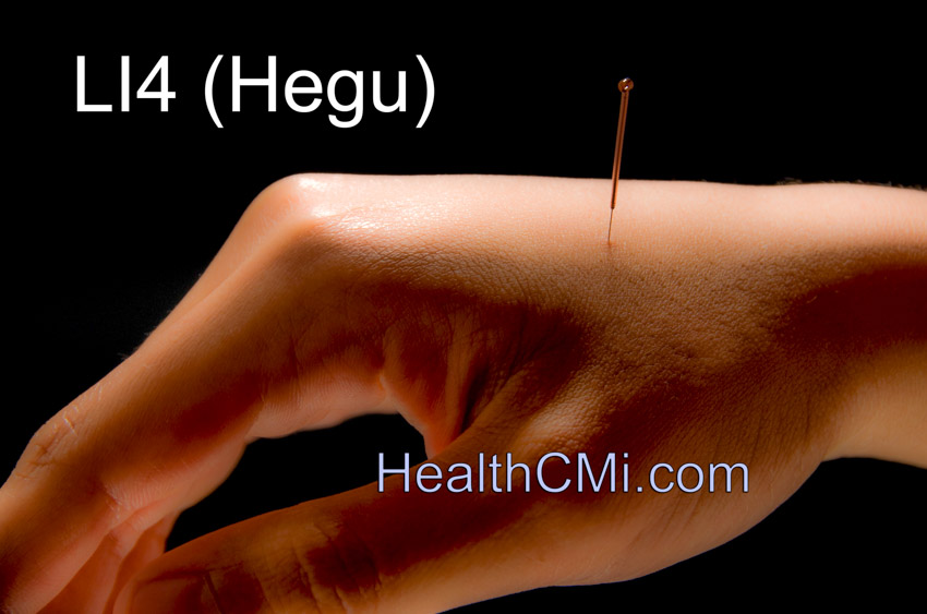 Acupuncture Prevents Muscle Loss