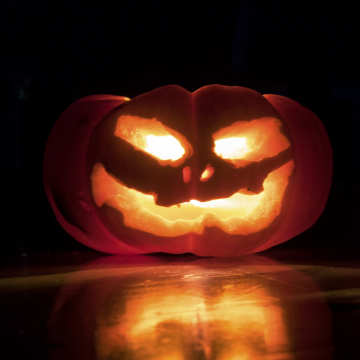 Eeeeeek! Fright remedies | The School of Homeopathy’s Latest News