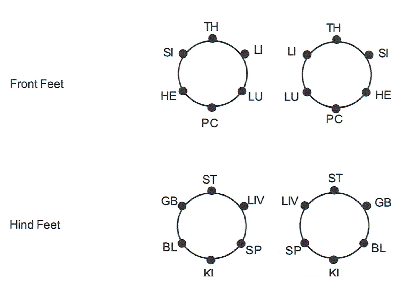 Ting Points – Advanced Photonic Therapy