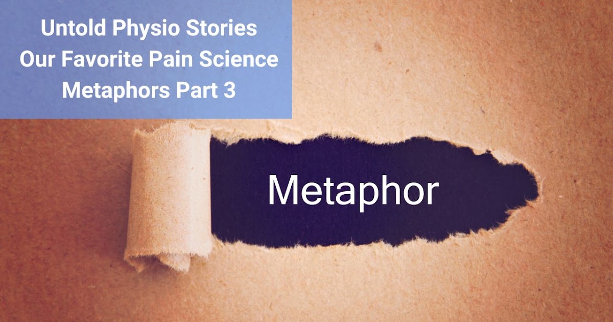 Untold Physio Stories – Our Favorite Pain Science Metaphors Part 3 | Modern Manual Therapy Blog