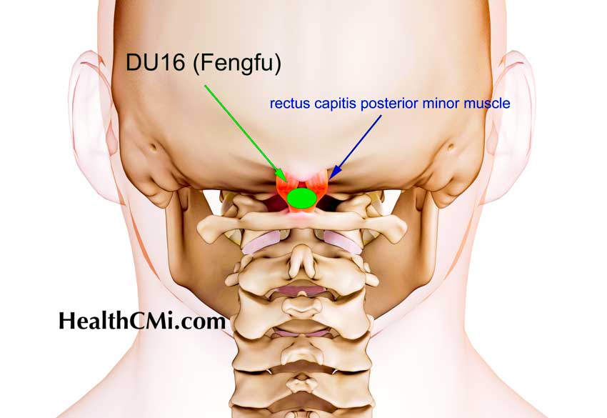 Acupuncture Headache Relief Biomarkers Confirmed