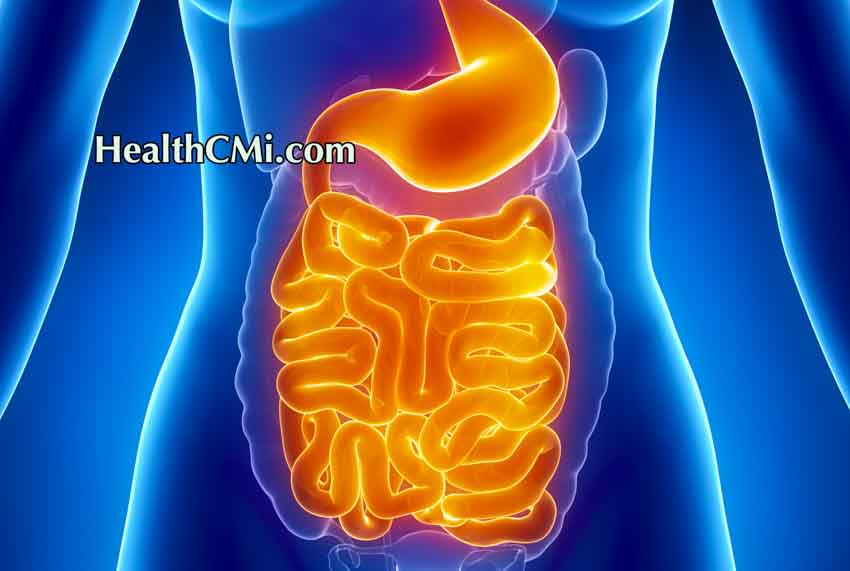 Acupuncture Unblocks Intestinal Obstructions Finding