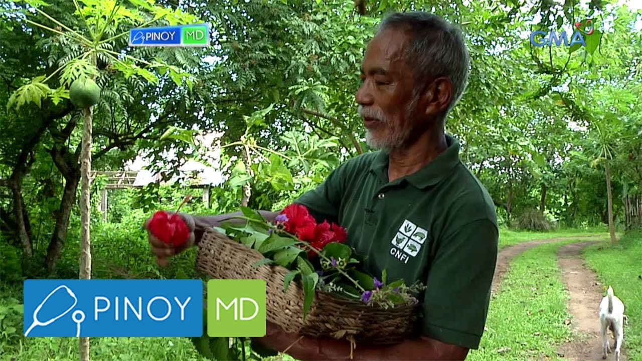 Pinoy MD: Mga alternative medicine, matatagpuan sa isang organic farm sa Quezon City