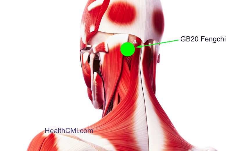 Acupuncture Found Effective For Post-Stroke Aphasia ​​