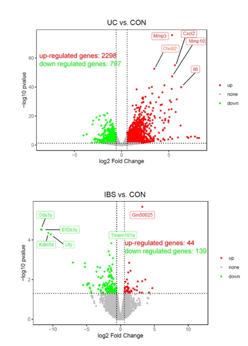 EA for intestinal barrier function in IBS and UC 2023 – The BMAS Blog