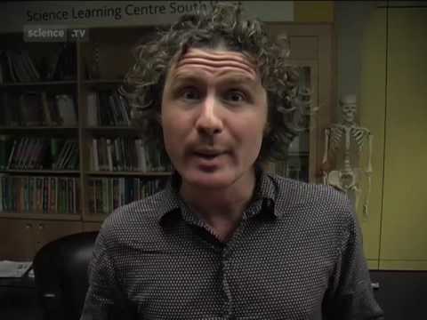 Ben Goldacre on Homeopathy