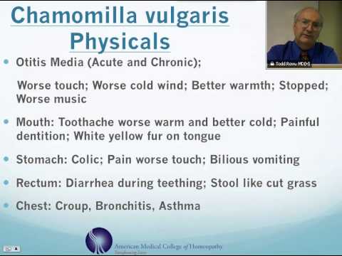 Chamomilla: Homeopathic Medicine -Tips For Beginners