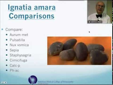 Ignatia Amara: Homeopathic Medicine -Tips For Beginners