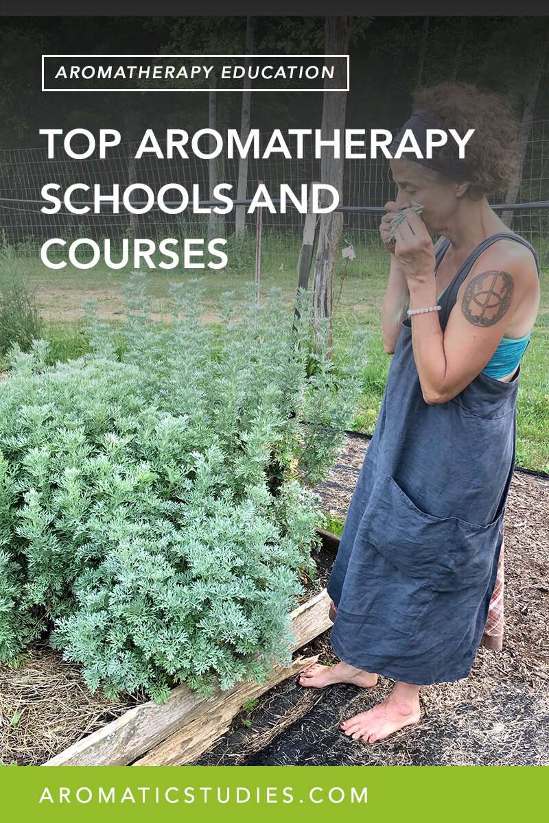 TOP AROMATHERAPY SCHOOLS AND COURSES