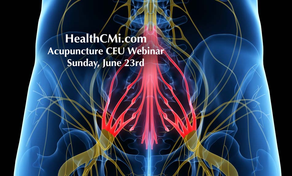 Acupuncture Event For Hips And Sciatica