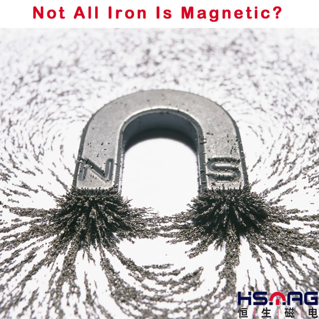 Not All Iron Is Magnetic by HSMAG