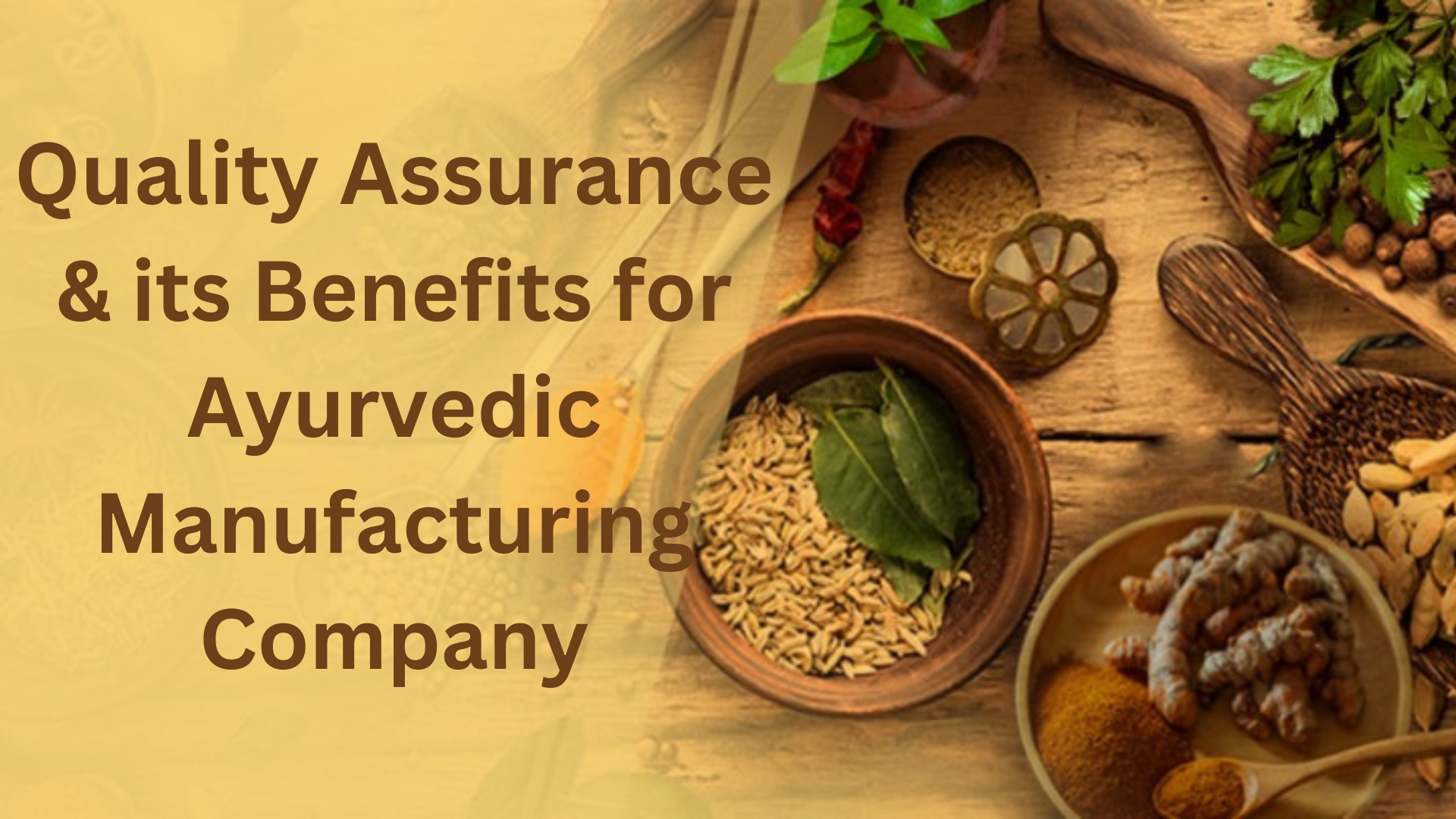 Quality Assurance & its Benefits for Ayurvedic Manufacturing Company