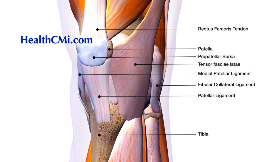 Acupuncture Event For Knee Pain And Fibromyalgia