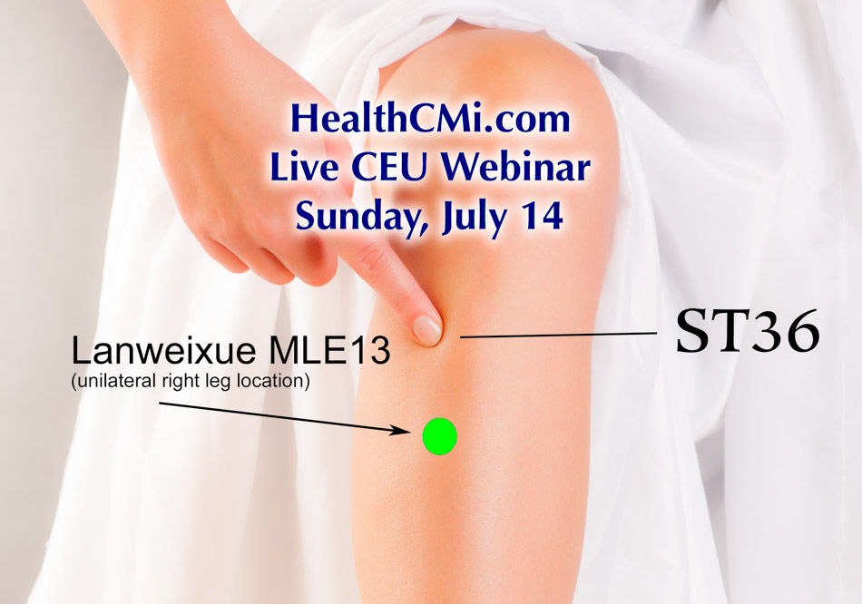 HealthCMi Hosts Live CEU Webinar on Anti-Inflammatory Acupuncture Points