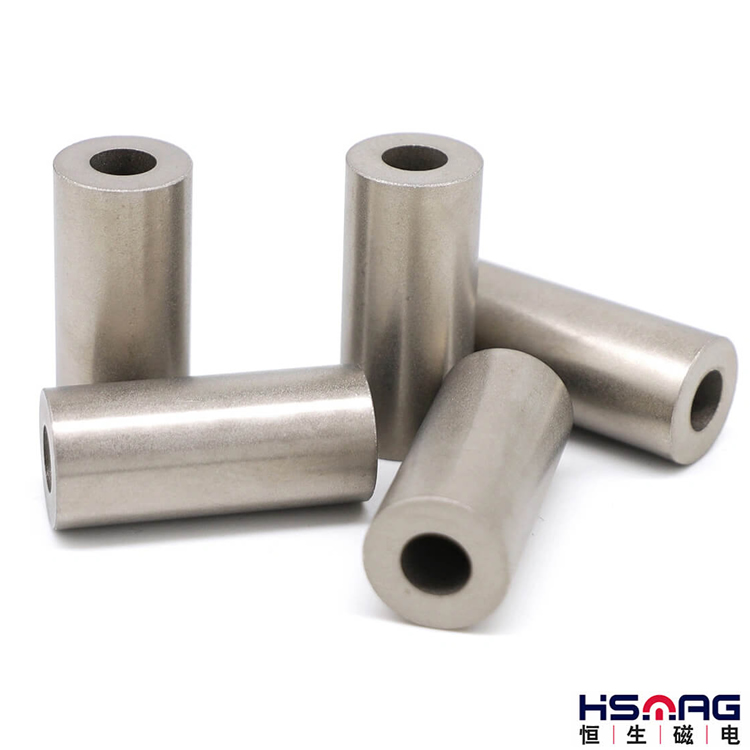 4 Poles Ring Magnet – Magnets By HSMAG