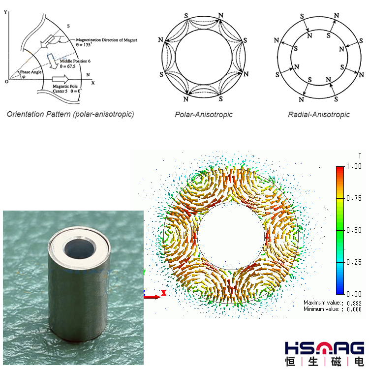 Polar-Anisotropic Ring Magnets – Magnets By HSMAG